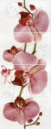 Панно Fiori Орхидея 377087