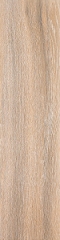 Фрегат коричневый обрез SG701490R