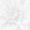 Панно Crisantemo из 3-х шт 36-05-00-463-0 